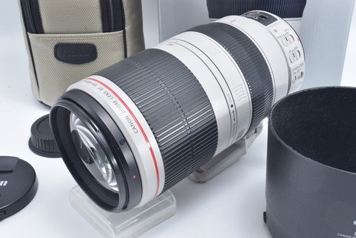 Canon 100 400mm 5 - 100-400mm, l