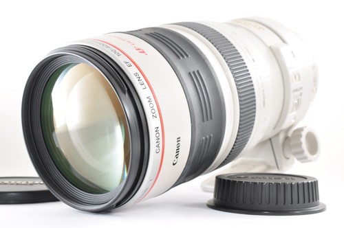 Canon 100 400mm 5 - 100-400mm, f/4.5-5.6