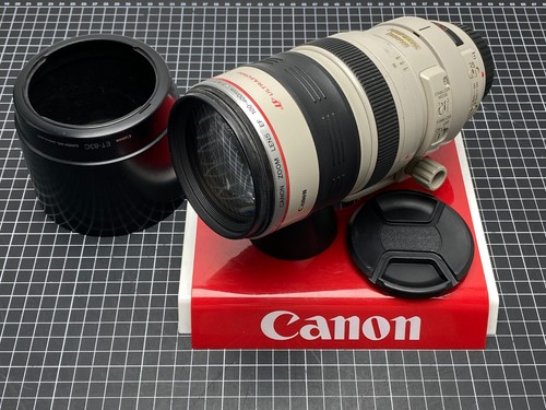 Canon 100 400mm 5 - 100-400mm, f/4,5-5,6