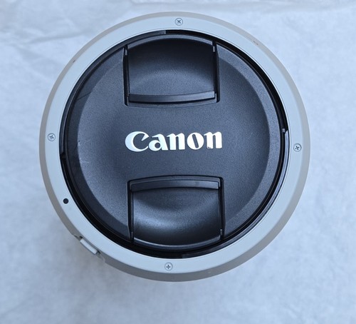 Canon 100 400 5 - canon, mm